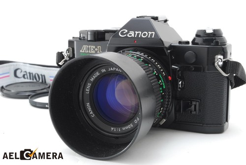 Ottime condizioni corpo - 【ottime, condizioni】